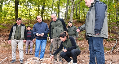 Gönen Kayın Ormanlarında Sonbahar Yürüyüşü: Doğa Tutkunları Bir Araya Geldi