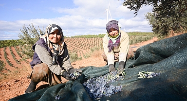 Köylüye 3 Milyon TL Gelir