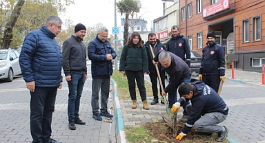 Susurluk’ta Yeni Zeytin Fidanları Toprakla Buluştu: Yeşil Bir Gelecek İçin Adım Atıldı