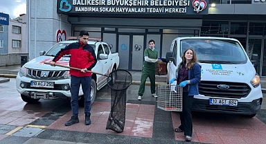 Ağaca Takılan Yaralı Martıya İtfaiye Şefkati