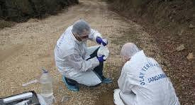 Balıkesir İl Jandarma Komutanlığı'ndan Başarılı Suçla Mücadele Operasyonu