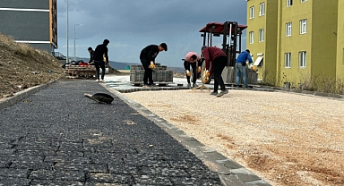 Bandırma Belediyesi'nden Altyapı Çalışmalarında Hız Kesilmiyor: Yol Yapım ve Asfaltlama Devam Ediyor