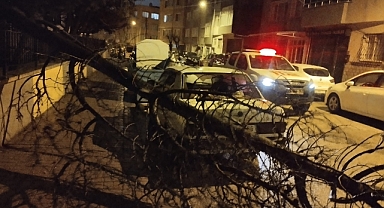 Bandırma ve Erdek’te Şiddetli Fırtına