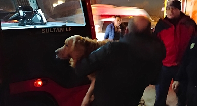 İzmir Yolunda Yürekleri Isıtan Kurtarma