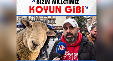 Sokak Röportajında Tepki: “Bizim Millet koyun gibi”