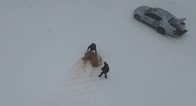 Balıkesir Orman Bölge Müdürlüğü'nden Yabani Hayvanlar İçin Kış Besleme Desteği