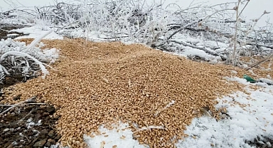 Balıkesir Orman Bölge Müdürlüğü’nden Yabani Hayvanlar İçin Kış Desteği