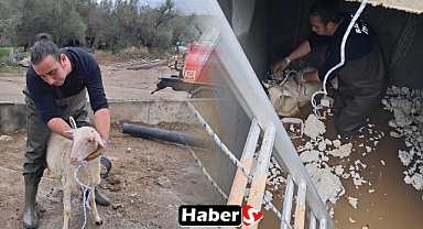 Edremit'te İtfaiye Ekiplerinden Başarılı Hayvan Kurtarma Operasyonu