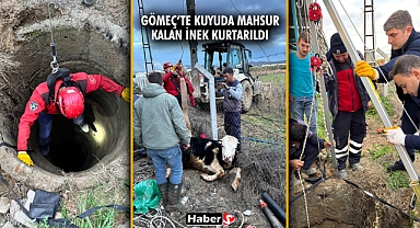 Gömeç’te Kuyuda Mahsur Kalan İnek Kurtarıldı