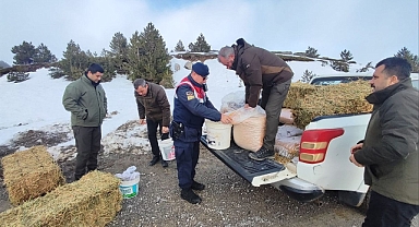 Kazdağları’nda Yaban Hayvanları İçin Doğaya Yem Bırakıldı