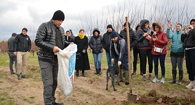 BAÇEM’de 4. Zeytin Yetiştiriciliği Kursu Tamamlandı
