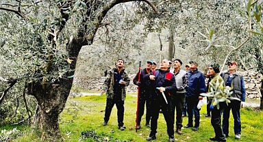 Balıkesir’de Zeytin Üreticilerine Yönelik Eğitim Programı Düzenlendi