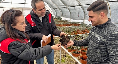 Balıkesir İl Tarım ve Orman Müdürlüğü, Fidan Üreticilerine Yönelik Teknik Destek ve Denetim Çalışmalarını Sürdürüyor
