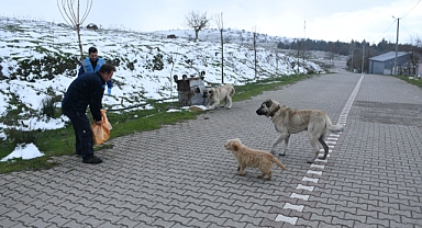 Büyükşehir’den Sokak Hayvanları ve Yaban Hayvanlarına Kış Desteği