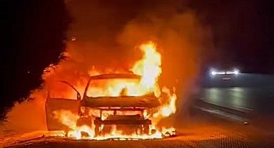 Araçta çıkan yangın ormana sıçradı