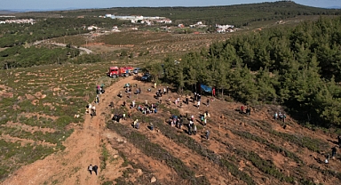 Ayvalık Belediyesi, Dünya Ormancılık Günü ve Orman Haftası’nda 2 Bin Zeytin Fidanı Dikerek Geleceğe Nefes Oldu