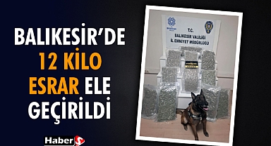 Balıkesir'de Zehir Tacirlerine Darbe: 12 Kilo 870 Gram Skunk Ele Geçirildi