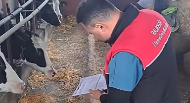 Balıkesir İl Tarım ve Orman Müdürlüğü, İlkbahar Şap Aşılama Programı Çalışmalarına Başladı