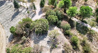 Balıkesir Üniversitesi Botanik Bahçesi, Yeni Düzenlemelerle Gelişiyor