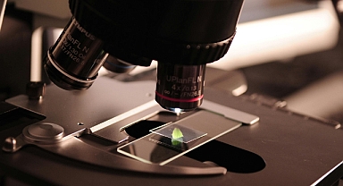 Balıkesir Üniversitesi, YÖK 2024 Raporu'nda Uluslararası Ar-Ge Projelerinde 9. Sırada Yer Aldı