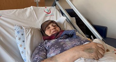 Başıboş köpekler 66 yaşındaki kadını yaraladı