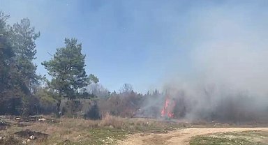 Bursa'da korkutan orman yangını: Müdahale sürüyor