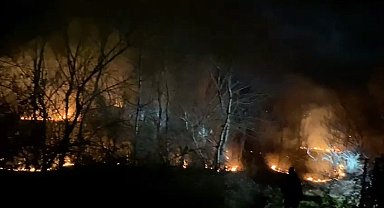 Bursa'da ormanlık alanda yangın