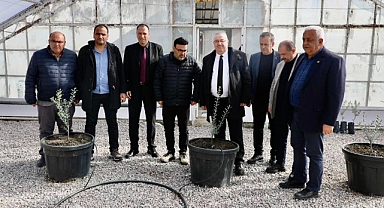 Edremit Belediye Başkanı Mehmet Ertaş, Yeni Zeytin Çeşidi 