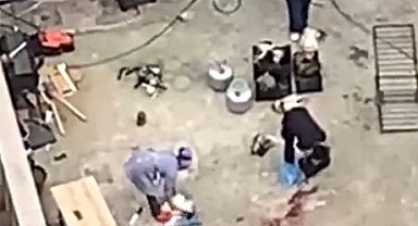 Esenyurt'ta apartman çatısında tavuk kesimi