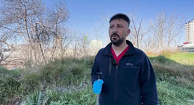 Esenyurt'ta iki kadın, sahipsiz köpekleri toplayan belediye görevlilerine tepki gösterdi