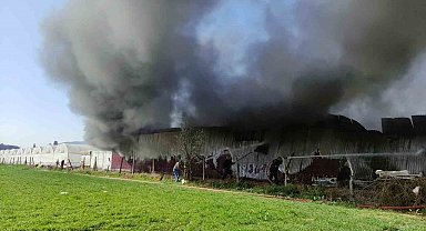 Gül serası alevlere teslim oldu