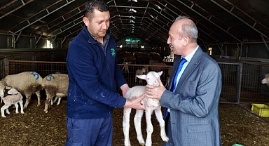 İl Tarım ve Orman Müdürü Dr. Hüseyin Düzgün, Kepsut’ta Küçükbaş İşletmesini Ziyaret Etti