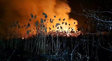İznik'te sazlık alanda korkutan yangın