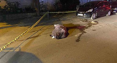 Kadıköy'de çöp kamyonunun altında kalan yaşlı kadın hayatını kaybetti