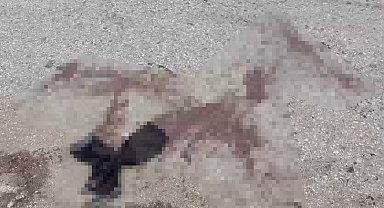 Komşu iki esnaf sopalar ile birbirine girdi: 7 yaralı