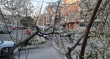 Maltepe Mahallesi Hızlı Sokakta Trafik Sorunu: Vatandaşlardan Çözüm Talebi