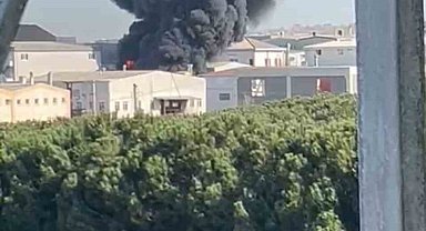 Tuzla Deri Organize Sanayi Bölgesi'nde yangın: Alevlere müdahale sürüyor