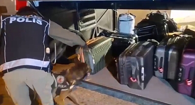 Balıkesir’de Dedektör Köpek Dangal’dan Büyük Başarı: Kıyafetlere Emdirilmiş 6 Kilo 887 Gram Metamfetamin Ele Geçirildi