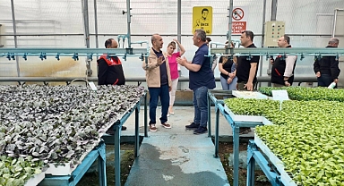 Balıkesir’de Modern Tarım Teknikleriyle Sebze Fidesi Üretimi İncelendi