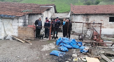 Balıkesir’de Ruhsatsız Hayvan Üretim Yerine Jandarmadan Operasyon