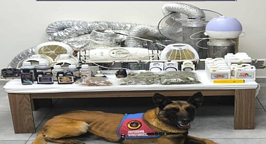 Balıkesir Jandarmasından Zehir Tacirlerine Darbe: Uyuşturucu ve Kaçak Ürün Operasyonu