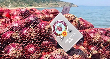 Bölgenin Gururu: Kapıdağ Mor Soğanı'nın Dikim Sezonu Başladı