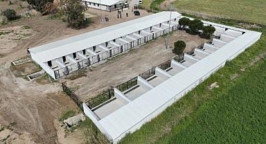 Edremit’te Sokak Hayvanları İçin Dev Proje: Çıkrıkçı Mahallesi'ndeki Bakım Evi ve Rehabilitasyon Merkezi Hızla İlerliyor