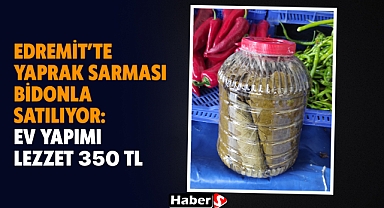 Edremit’te Yaprak Sarması Bidonla Satılıyor: Ev Yapımı Lezzet 350 TL