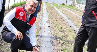 Milletvekili Mustafa Canbey’den Zirai Don Zararına Uğrayan Çiftçilere Destek Ziyareti
