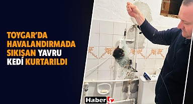 Toygar’da Havalandırmada Sıkışan Yavru Kedi Kurtarıldı