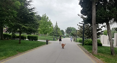 Altıeylül Atatürk Parkı’nda Sabah Sporu ile Güne Enerjik Başlangıç