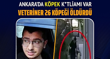 Ankara’da Veteriner Hekim Hakkında Kan Donduran İddia: 26 Köpeği Öldürdü