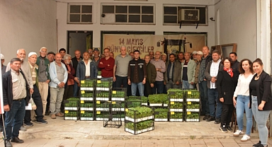 Balıkesir Büyükşehir’den 228 Bin Fide Desteği: Çiftçiye Can Suyu Oldu