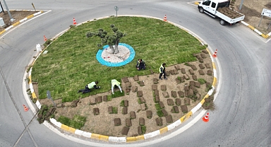 Balıkesir’de Belediye Kendi Çimini Üretiyor